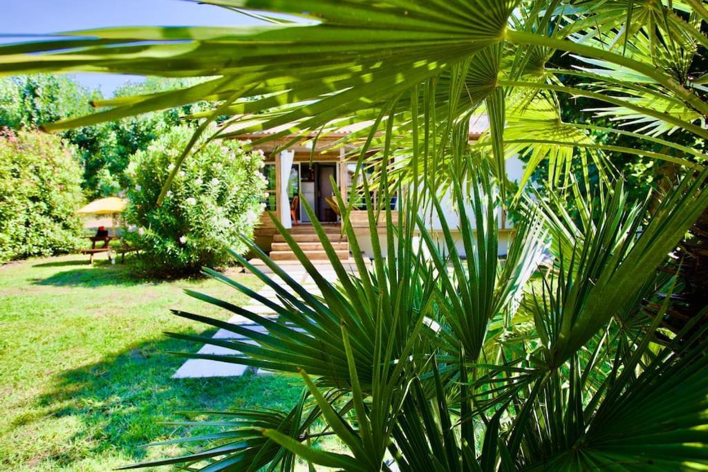 Chalet Campo Vecchio Sole Et Piscine Ghisonaccia